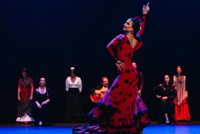 Flamenco show in Granada